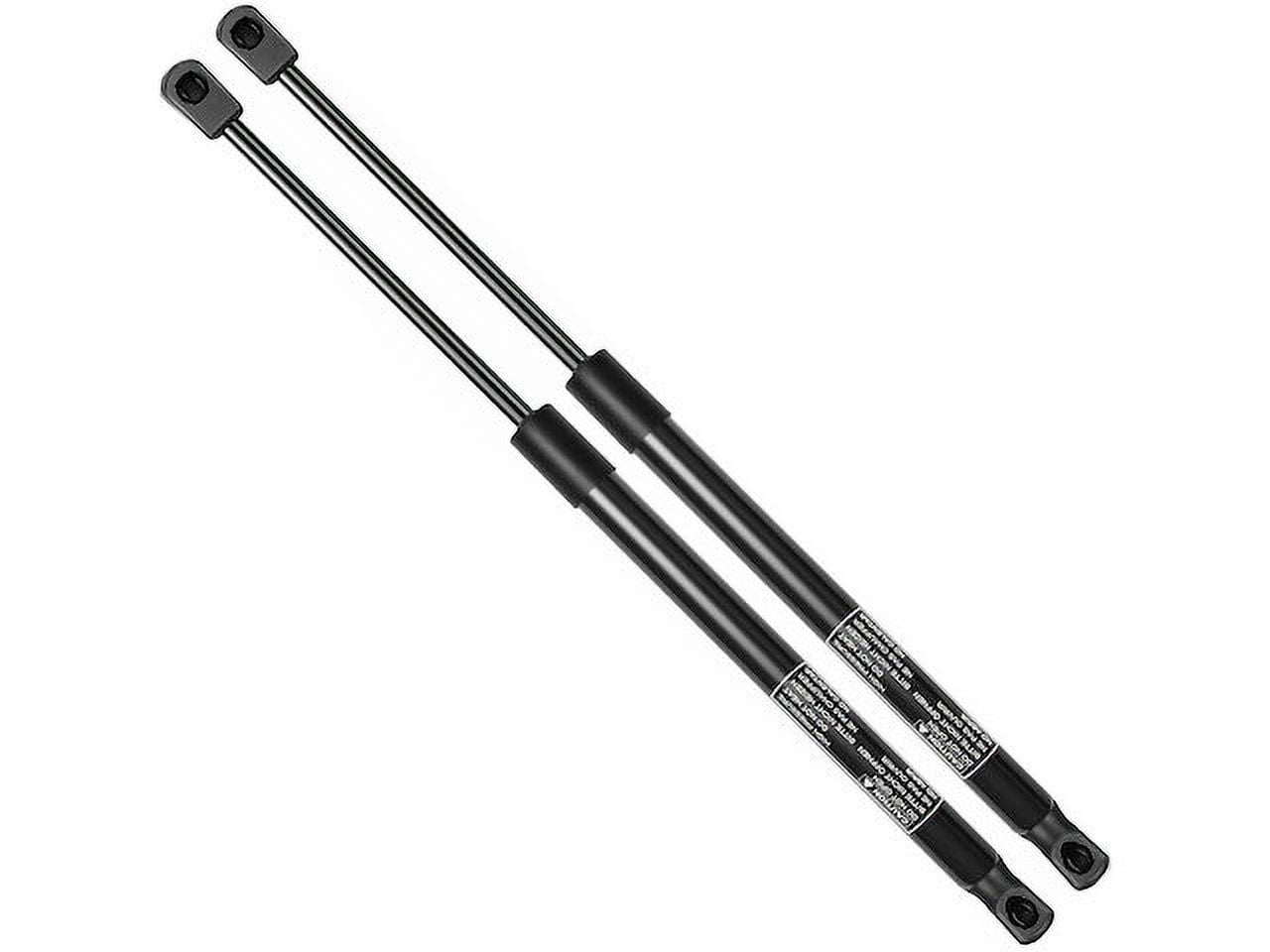 Hood Strut Set - Compatible with 2002 - 2006 Mini Cooper - Autopart Premium