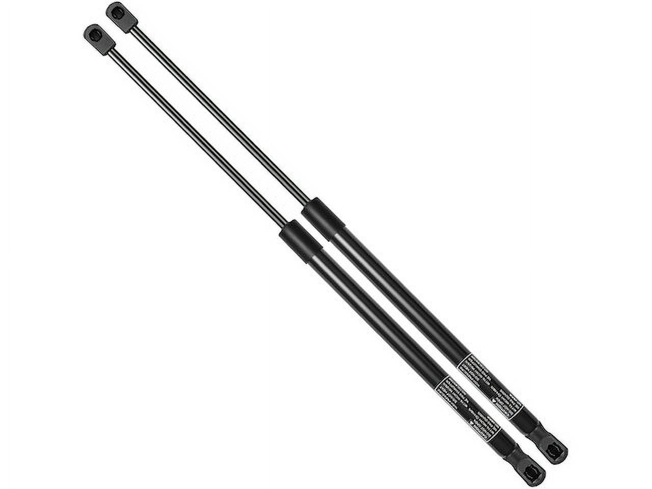 Hood Strut Set - Compatible with 2013 - 2018 Toyota Avalon - Autopart Premium