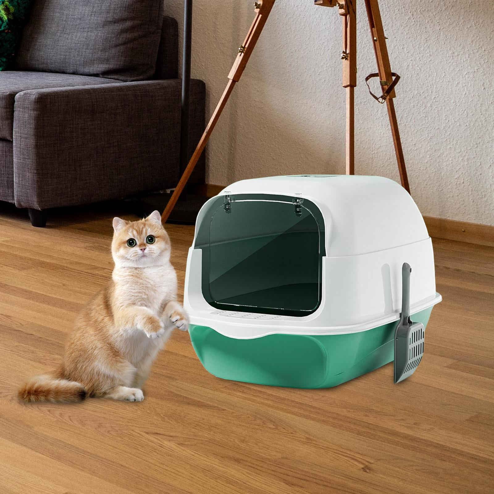 Hooded Cat Litter Box with Door Enclosed and Covered Cat Toilet Kitten Potty Green