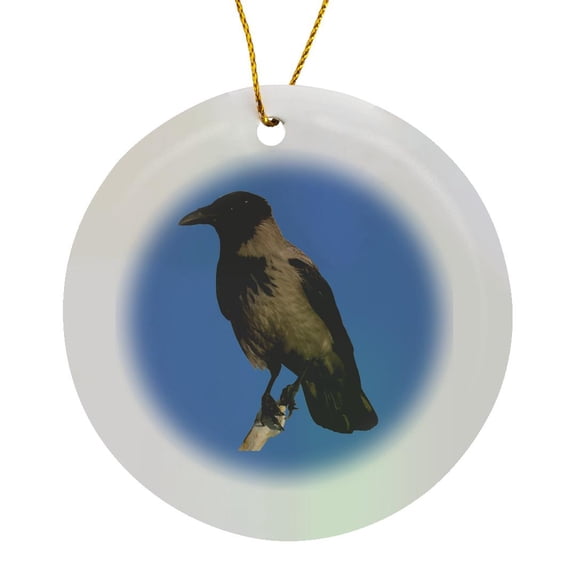 3drose, Hooded Crow Isolated Photographic Vector Cut Out, Circle Porcelain Ornament