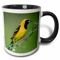 3drose, Hooded Oriole Bird, Rio Grande Valley, Texas - Na02 Rnu0166 - Rolf Nussbaumer, 15oz Two-tone Black Mug