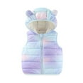 thumbnail image 1 of Hooded Puffer Vest Toddler Boys Girls Sleeveless Tie-Dying Quilted Down Jacket Zipper Lightweight Padded Outerwear Coat, Purple, 2 Years, 1 of 3