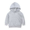 thumbnail image 1 of Girls Sweatshirt,Hoodie Basic Design Casual With Pocket Hoodie for Fall Seasons,Toddler Sweatshirt,Grey,2-3 Years, 1 of 2