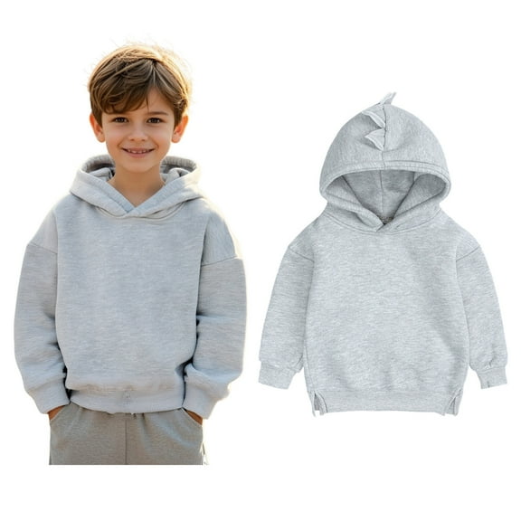 Hoodies Grey Hoodies Long Sleeve Pullover Tops Fall Clothes Girls Clothes Size 2-3 Years Boys Girls Fashion