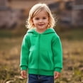 thumbnail image 1 of Hoodies Kids Green Zip up Hoodies Casual Long Sleeve Classic Hoodie Warm Fall Winter Clothes Toddler Boy Clothes 18-24M, 1 of 4