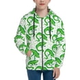 thumbnail image 1 of Hoodies for Teen Girls Boys, Funny Chameleon Lizard Green Long Sleeve Youth Kids Essentials Zip Up Hoodie, Lghtweight Fashion Hoodies & Sweatshirts Jacket Fall Winter Outfits Tops, 1 of 5