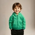 thumbnail image 1 of Hoodies Thickened Green Hooded Casual Long Sleeve Sweatshirts Warm Fall Winter Clothes Girls Toddler Clothes 12-18M, 1 of 4