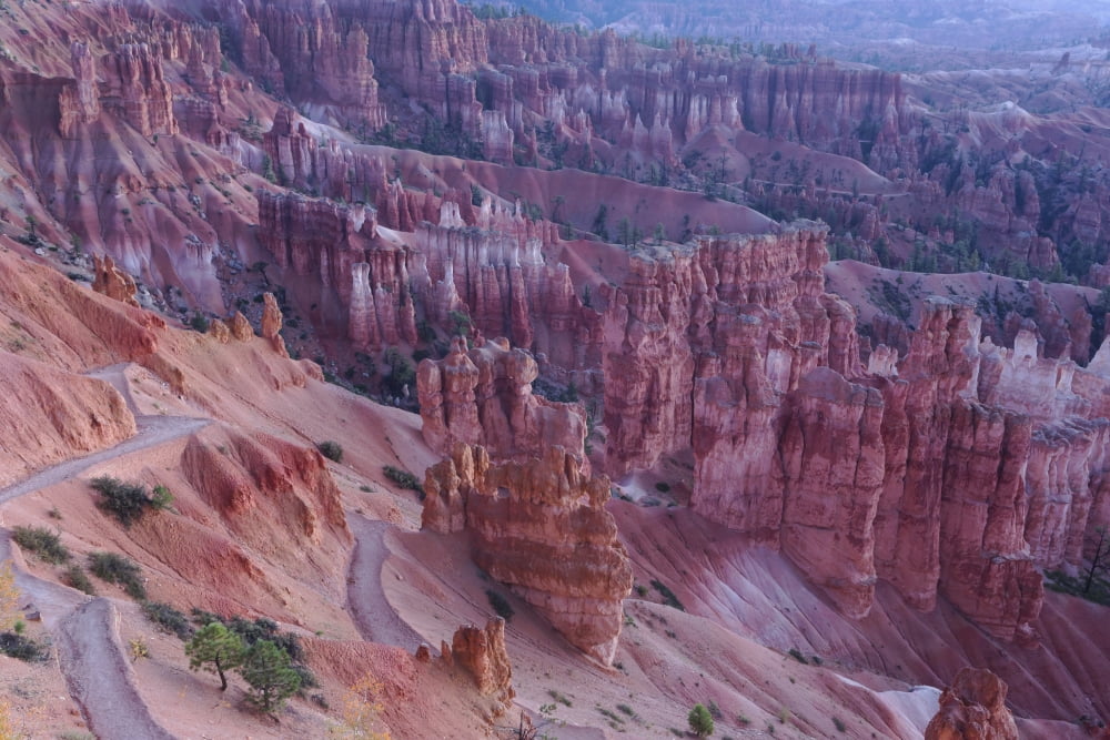 Hoodoos Bryce Canyon National Park Utah United States of America Canvas Art - Ronald Phillips Design Pics (19 x 12)