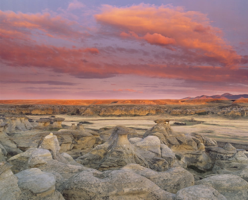 Hoodoos Milk River Badlands Writing On Stone Provincial Park Alberta Canada Canvas Art - Darwin Wiggett Design Pics (17 x 14)