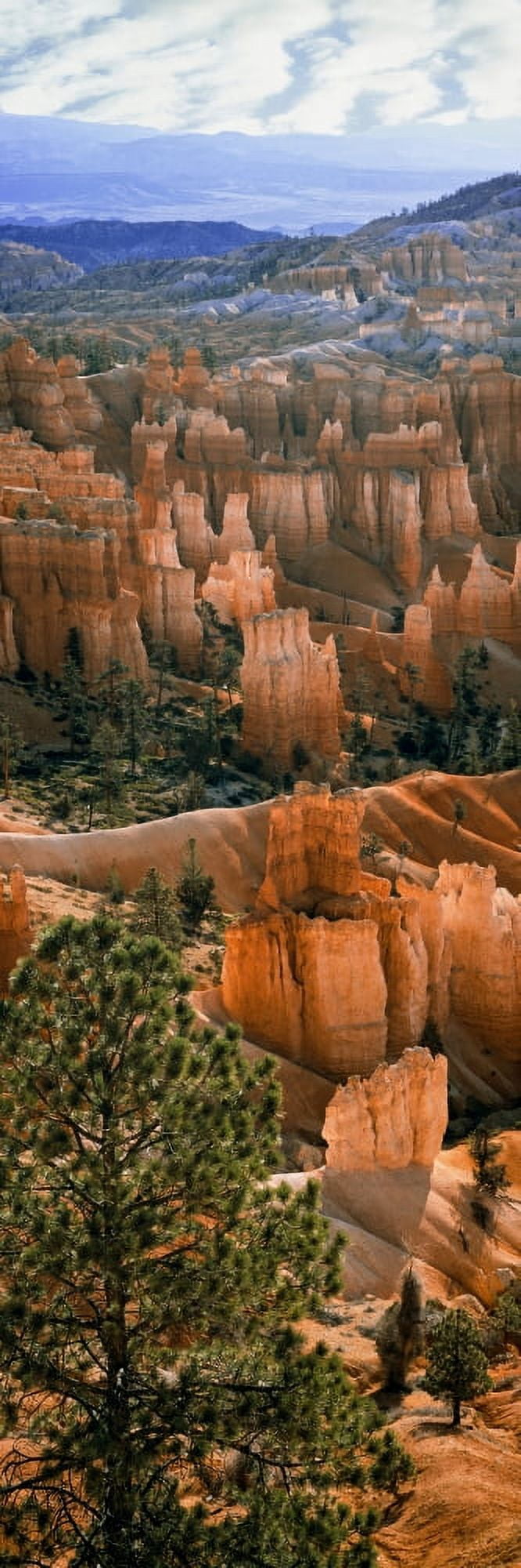 Hoodoos Of Bryce Canyon In Bryce Canyon National Park Utah USA Canvas Art - Panoramic Images (27 x 9)