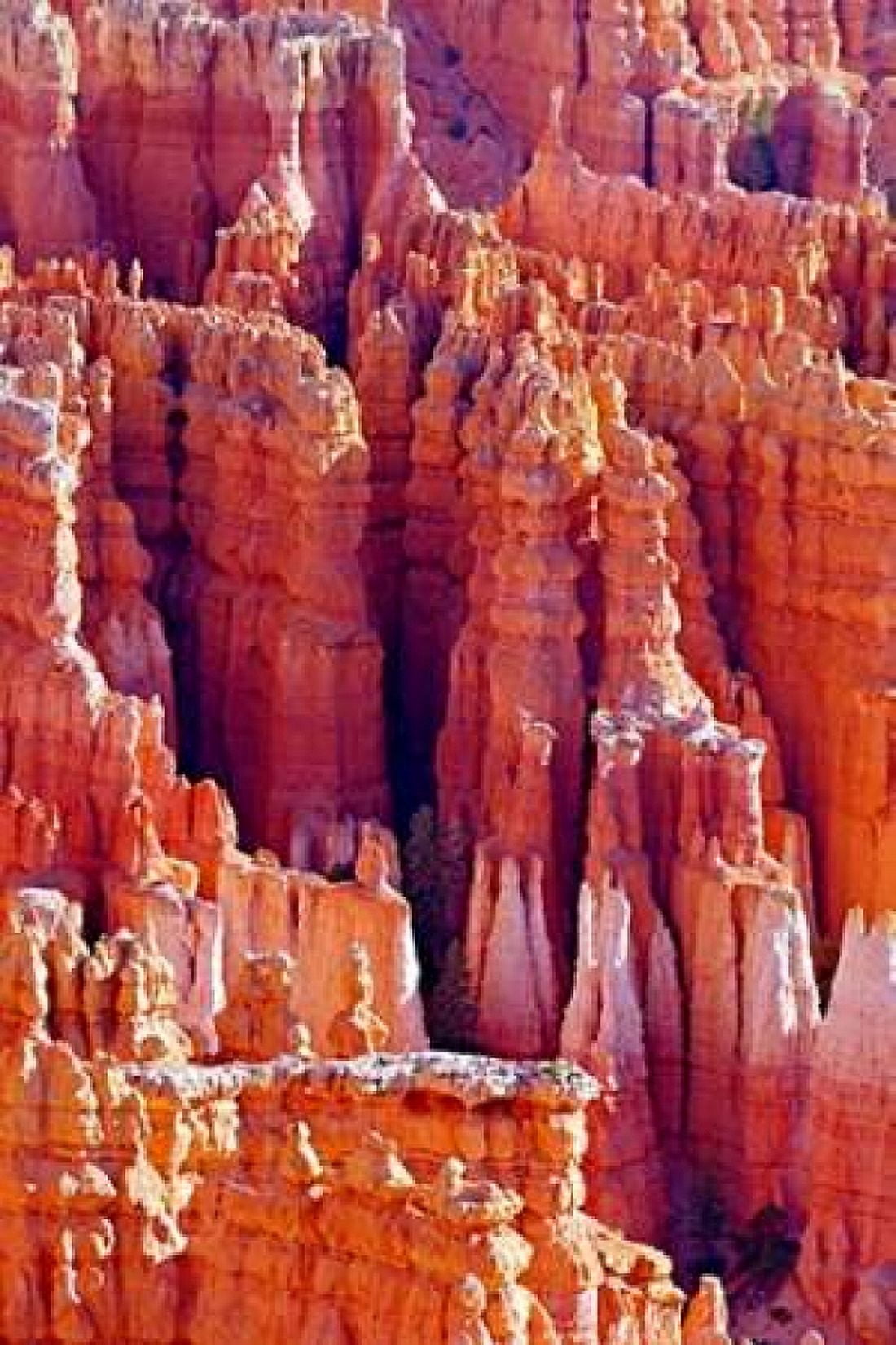 Hoodoos at Dawn Canvas Art - Douglas Taylor (24 x 36)