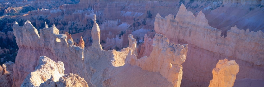 Hoodoos at Sunrise Bryce Canyon National Park Southern Utah Canvas Art - Panoramic Images (36 x 12)