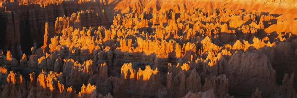 Hoodoos at Sunrise Bryce Canyon National ParkUtah Canvas Art - Panoramic Images (27 x 9)