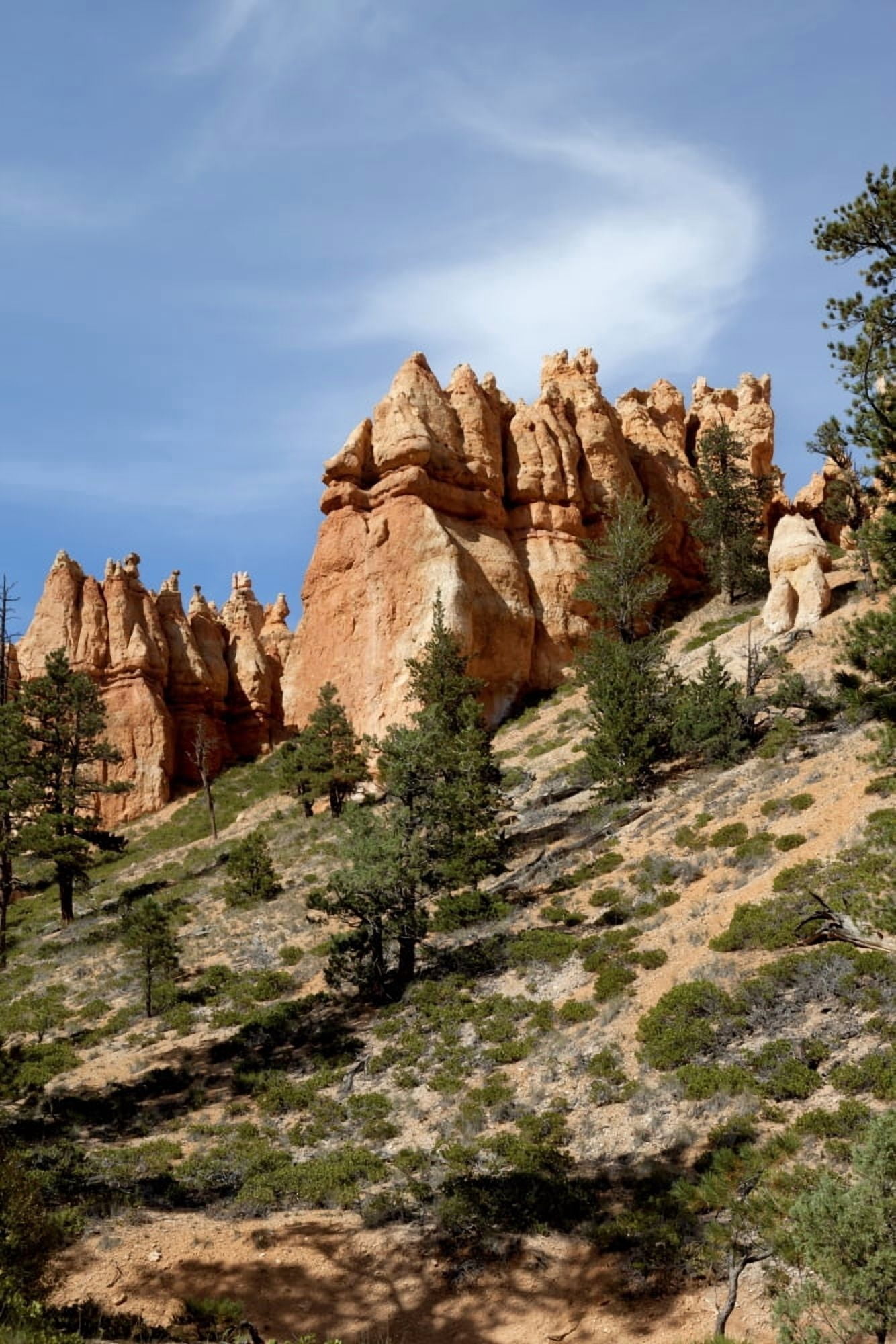 Hoodoos in Bryce Canyon National Park Utah United States of America Canvas Art - Debra Brash Design Pics (12 x 19)