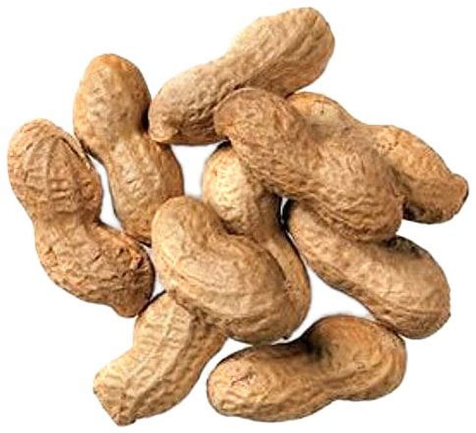 Hoody's Roasted & Unsalted Peanut in Shell, 24 Oz