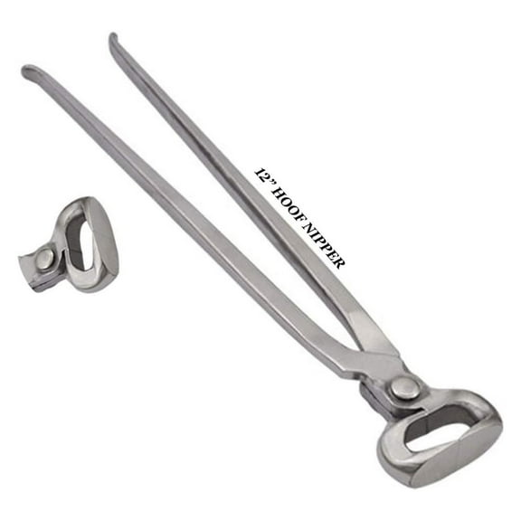 Hoof Nipper 10"&12"&14"&15" Vanadium Steel Farrier Tool in Dull Finish (12 Inch)