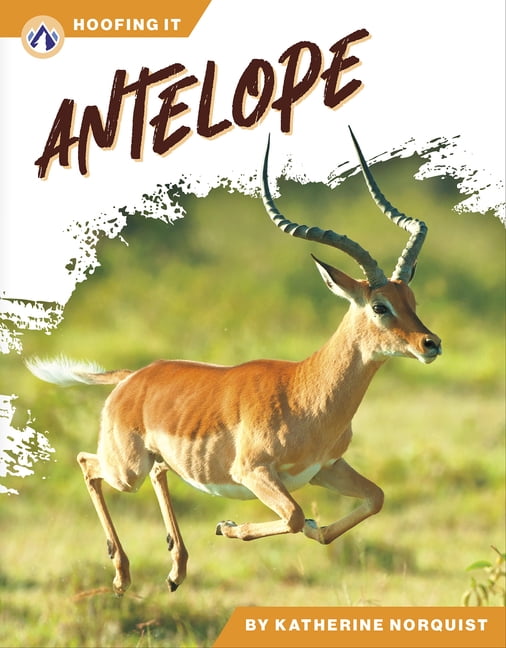 Antelope, (Paperback)