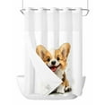 thumbnail image 1 of No Hook Cloth Fabric Shower Curtain with Snap in Liner, Cute Brown Puppy Waterproof Shower Curtains Set with See Through Top Window, Modern Dog Cartoon Watercolor Bath Curtains Shower 60"x72", 1 of 6