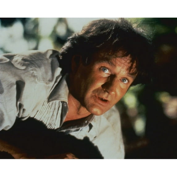 Hook Featuring Robin Williams 24x36 Movie Poster