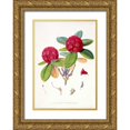 thumbnail image 1 of Hooker, Joseph 18x24 Gold Ornate Wood Framed with Double Matting Museum Art Print Titled - Rhododendron Fulgens, 1 of 4