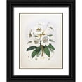 thumbnail image 1 of Hooker, Joseph Dalton 15x18 Black Ornate Wood Framed with Double Matting Museum Art Print Titled - Rhododendron Dalhousiae, 1 of 4