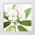 thumbnail image 1 of Hooker, Joseph Dalton 20x20 White Modern Wood Framed Museum Art Print Titled - Rhododendron Aucklandii Flower, 1 of 4