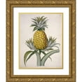 thumbnail image 1 of Hooker, William 15x18 Gold Ornate Wood Framed with Double Matting Museum Art Print Titled - Black Jamaican Pineapple, 1 of 4