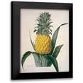 thumbnail image 1 of Hooker, William 19x24 Black Modern Framed Museum Art Print Titled - The Queen Pineapple, 1 of 5