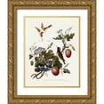thumbnail image 1 of Hooker, William 20x24 Gold Ornate Wood Framed with Double Matting Museum Art Print Titled - Taylor Birds, 1 of 4