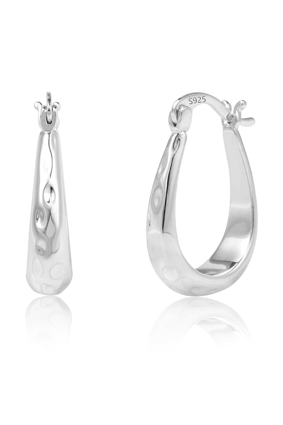 925 Sterling Silver Hook Earrings for Women,Trendy Hypoallergenic Leverback Silver Stud Earings Jewelry for Mom