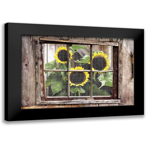 Hoover, Irvin 14x11 Black Modern Framed Museum Art Print Titled - Looking In