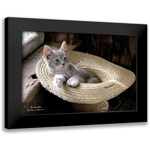 Hoover, Irvin 14x11 Black Modern Framed Museum Art Print Titled - The Hat Kitten
