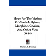 thumbnail image 1 of Hope For The Victims Of Alcohol, Opium, Morphine, Cocaine, And Other Vices (1888) (Paperback), 1 of 1