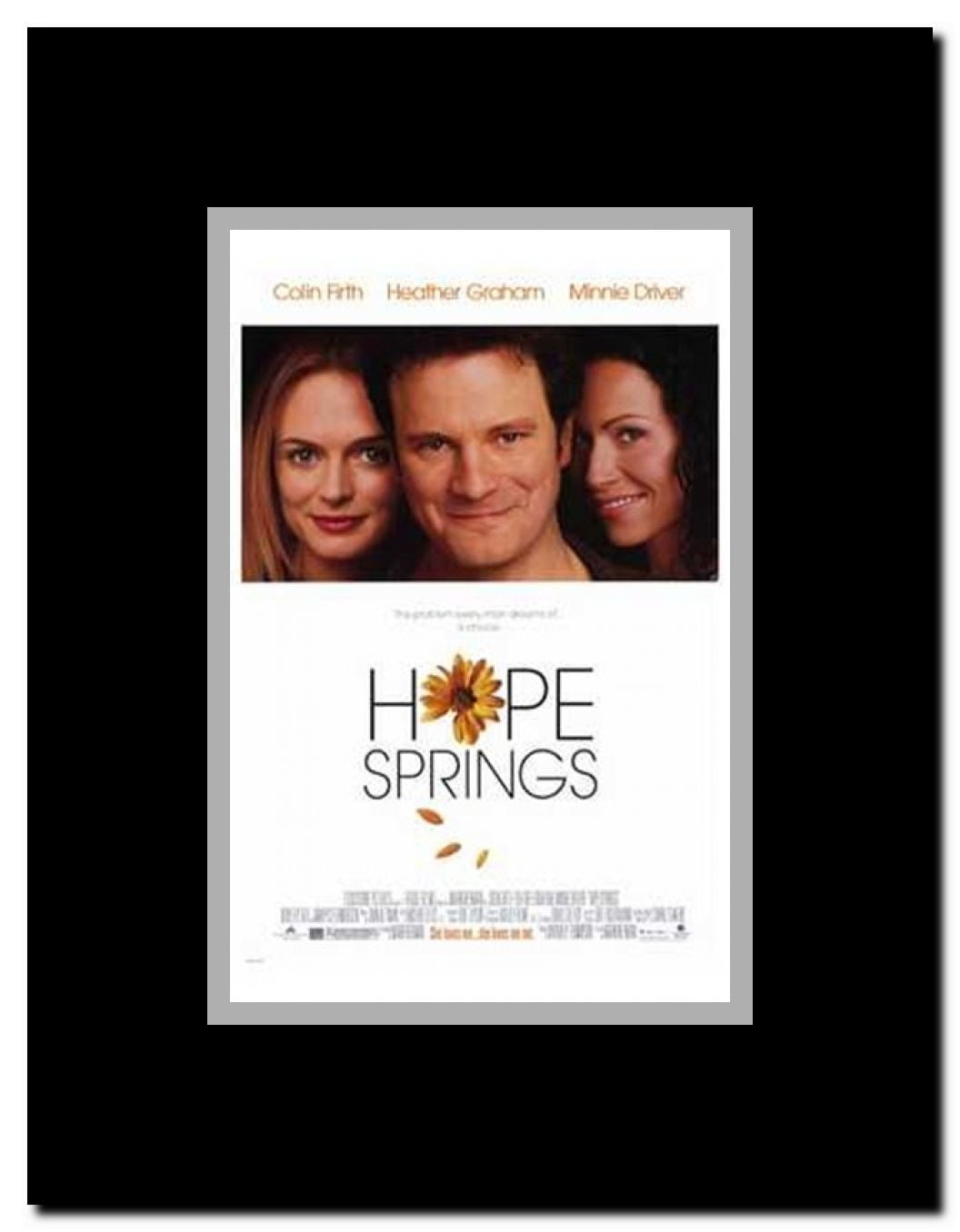 Hope Springs Framed Movie Poster