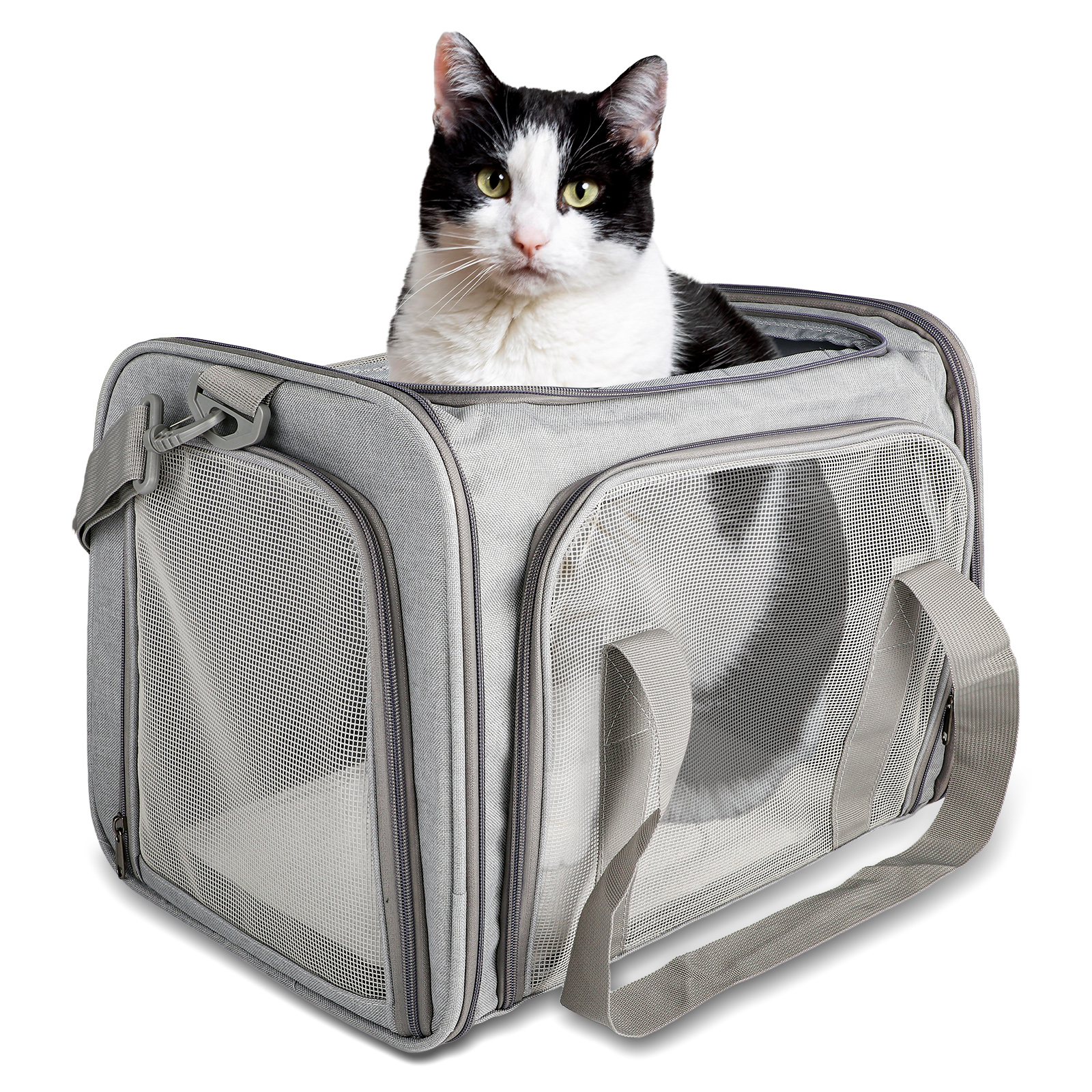 HopeRock Pet Carrier for Small Medium Cats Puppies up to 15 Lbs, TSA