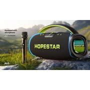 Worryfree Gadgets مكبر صوت بلوتوث محمول بقدرة 300 واط مع ميكروفون ومقبض، عدد واحد، أسود