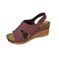 thumbnail image 1 of Hopeusnice Sandals for Women Soft Non-Slip Breathable Trendy Women's Sandals PU Materials Summer Shoes Open Toe Sandals Wedge Heel Round Toe Flexible Walking Shoes Wine 41, 1 of 6