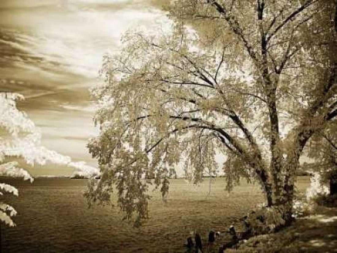 Hopewell Shores II Canvas Art - Alan Hausenflock (18 x 24)