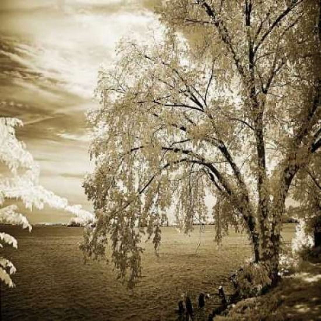 Hopewell Shores II Canvas Art - Alan Hausenflock (24 x 24)