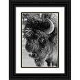 thumbnail image 1 of Hopkins, Cindy Miller 17x24 Black Ornate Wood Framed with Double Matting Museum Art Print Titled - USA-Wyoming-Yellowstone National Park-Lone male American bison-aka buffalo with frost on face-Head, 1 of 4