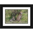 thumbnail image 1 of Hopkins, Cindy Miller 24x16 Black Ornate Wood Framed with Double Matting Museum Art Print Titled - Africa-Kenya-Serengeti-Maasai Mara-Female cheetah with cubs-endangered species, 1 of 4