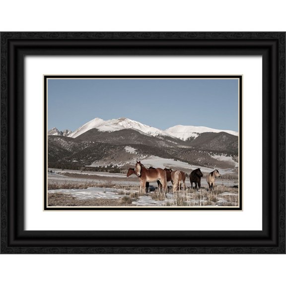 Hopkins, Cindy Miller 24x17 Black Ornate Wood Framed with Double Matting Museum Art Print Titled - USA-Colorado-Music Meadows Ranch Herd of horses with Rocky Mountains in the distance