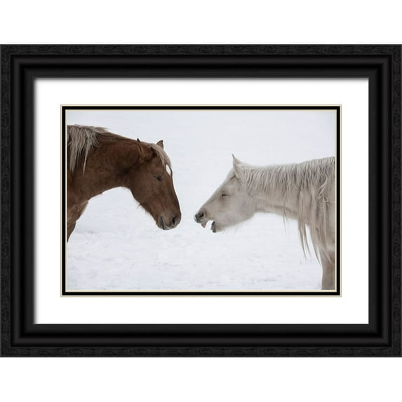 Hopkins, Cindy Miller 24x17 Black Ornate Wood Framed with Double Matting Museum Art Print Titled - USA-Montana Gardiner Palomino and sorrel-with shaggy winter coat-nose to nose