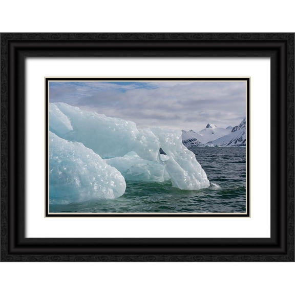 Hopkins, Cindy Miller 24x17 Black Ornate Wood Framed with Double Matting Museum Art Print Titled - Norway-Svalbard-Spitsbergen-Hornsund