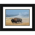 thumbnail image 1 of Hopkins, Cindy Miller 32x23 Black Ornate Wood Framed with Double Matting Museum Art Print Titled - USA-Wyoming-Yellowstone National Park-Upper Geyser Basin-Lone male American bison-aka buffalo right, 1 of 4