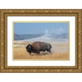 thumbnail image 1 of Hopkins, Cindy Miller 32x23 Gold Ornate Wood Framed with Double Matting Museum Art Print Titled - USA-Wyoming-Yellowstone National Park-Upper Geyser Basin-Lone male American bison-aka buffalo right, 1 of 4
