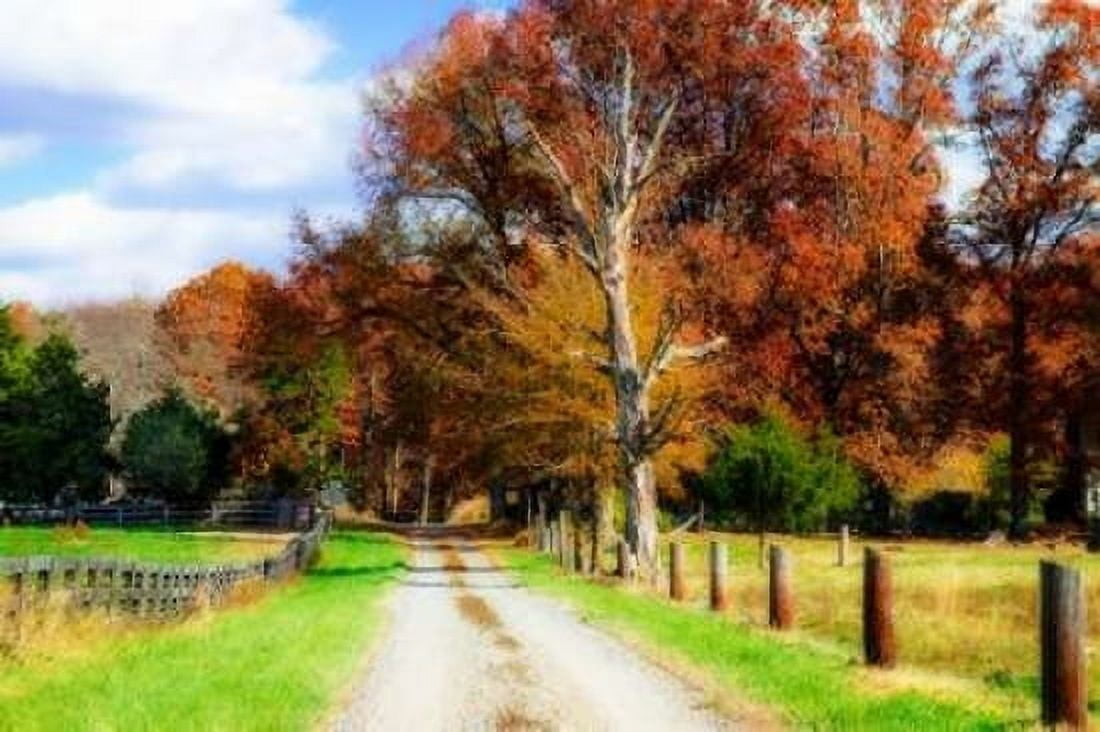 Hopkins Farm Canvas Art - Alan Hausenflock (20 x 28)