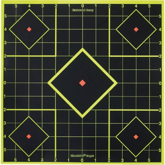 Hoppe's No. 9 Official Competition 50-Feet Target Paper 20 Pack
