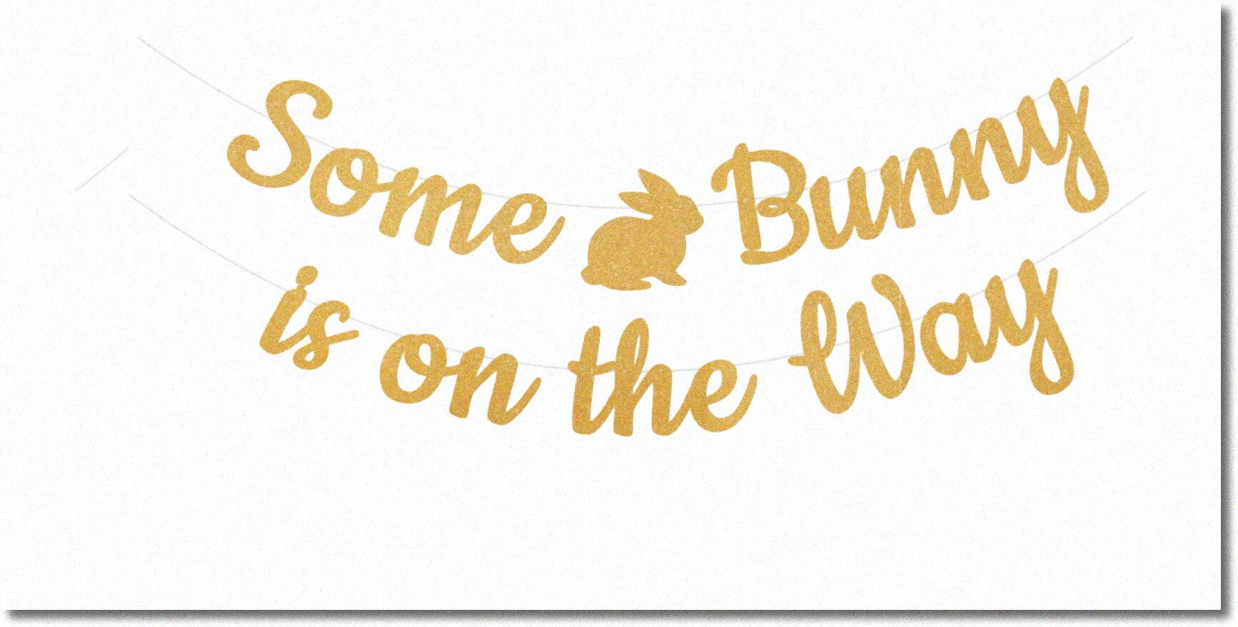 Hoppy Baby Shower Bunny Banner Gender Reveal Party Decorations with