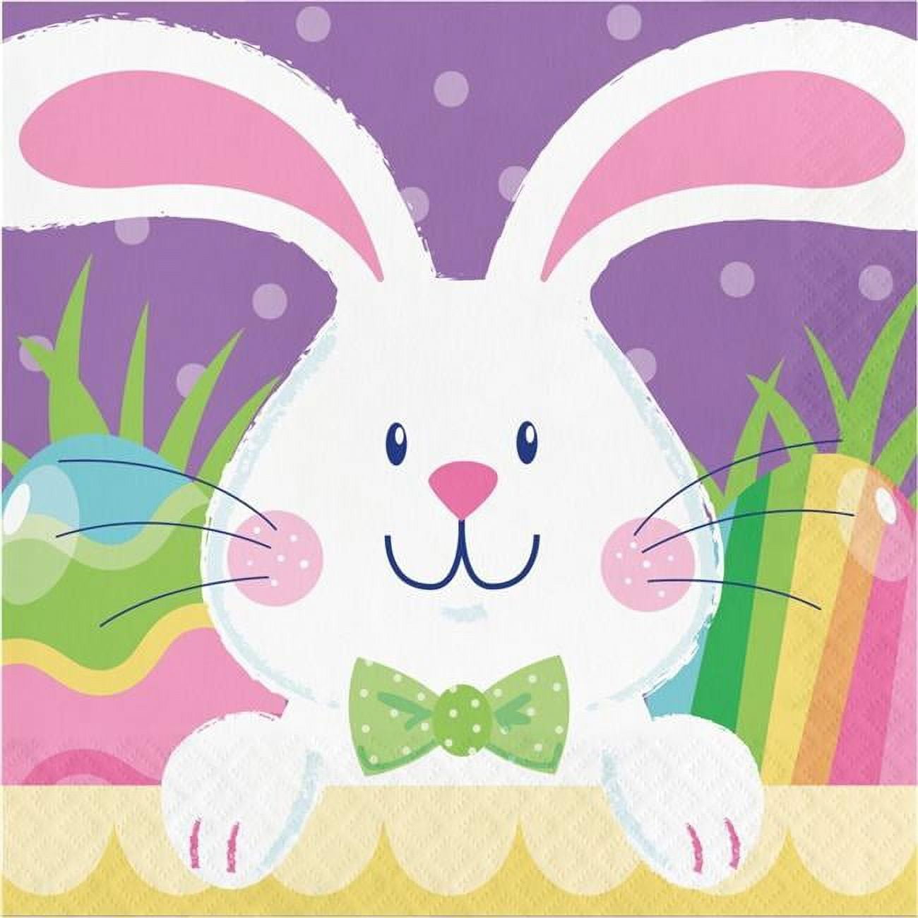 Hoppy Easter Bunny 16 Ct Luncheon Napkins 2 Ply Paper